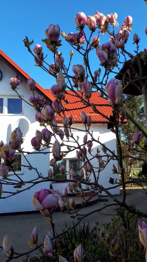 Ranczo U Stefana Villa Ustronie Morskie Exterior photo